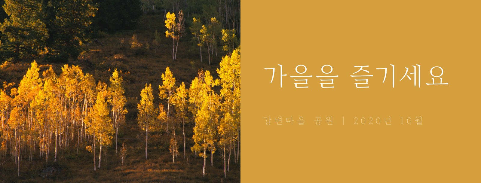 7~가을 무료 이미지・디자인・샘플・템플릿 - Canva(캔바) 페이지