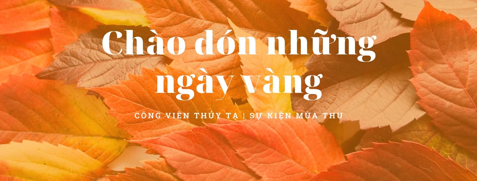 Mùa thu là một trong những mùa hoàn hảo nhất để tạo ra không gian sống phong thủy. Hãy khám phá thư viện ảnh phong thủy mùa thu để tìm kiếm những ý tưởng mới cho việc cải tạo căn nhà của bạn.