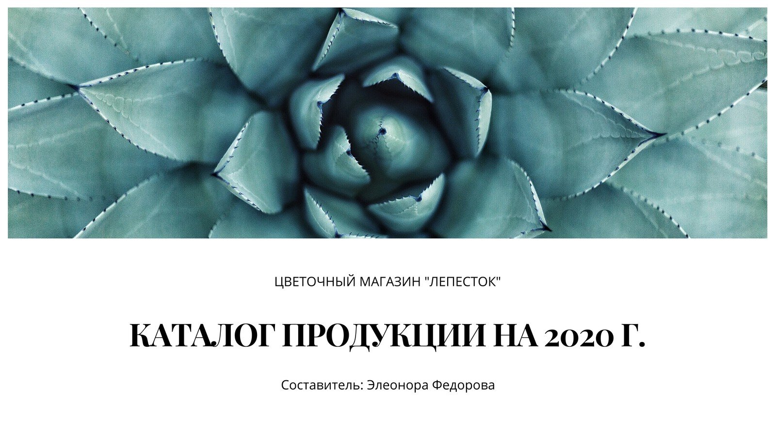 Бесплатные шаблоны презентаций продуктов и товаров | Скачать дизайн и фон  для презентаций нового продукта онлайн | Canva