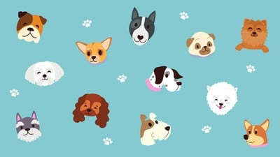 Turquoise Dogs and Paw Print Cute Virtual Background - Templates ...