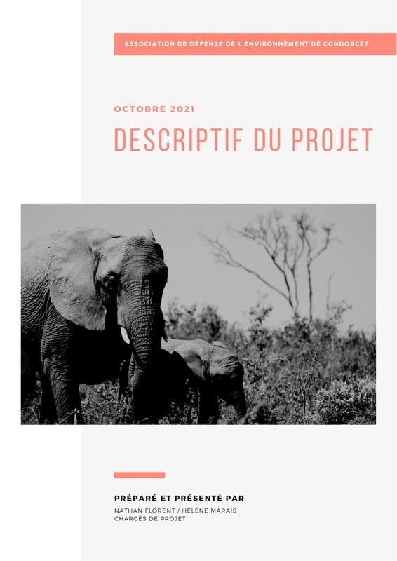 rapport de stage modèles gratuits à personnaliser Canva