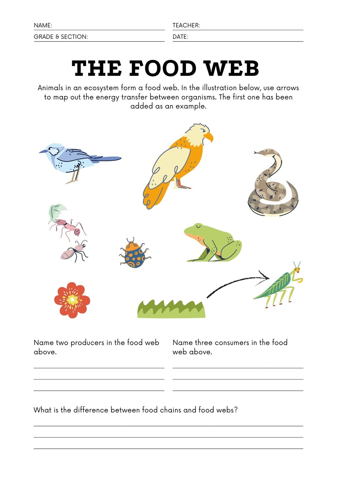 Customize 24+ Science Worksheets Templates Online - Canva In Food Web Worksheet High School