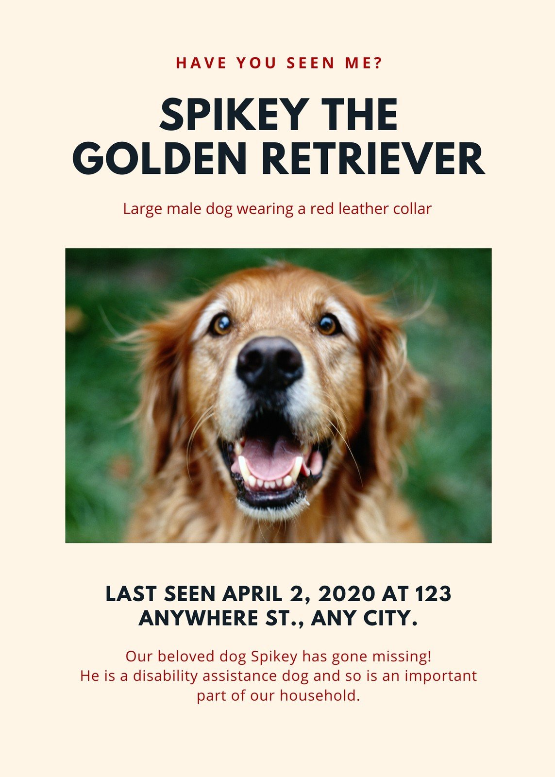 Lost Dog Flyer Template