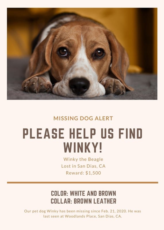 Free, printable, customizable lost dog flyer templates Canva