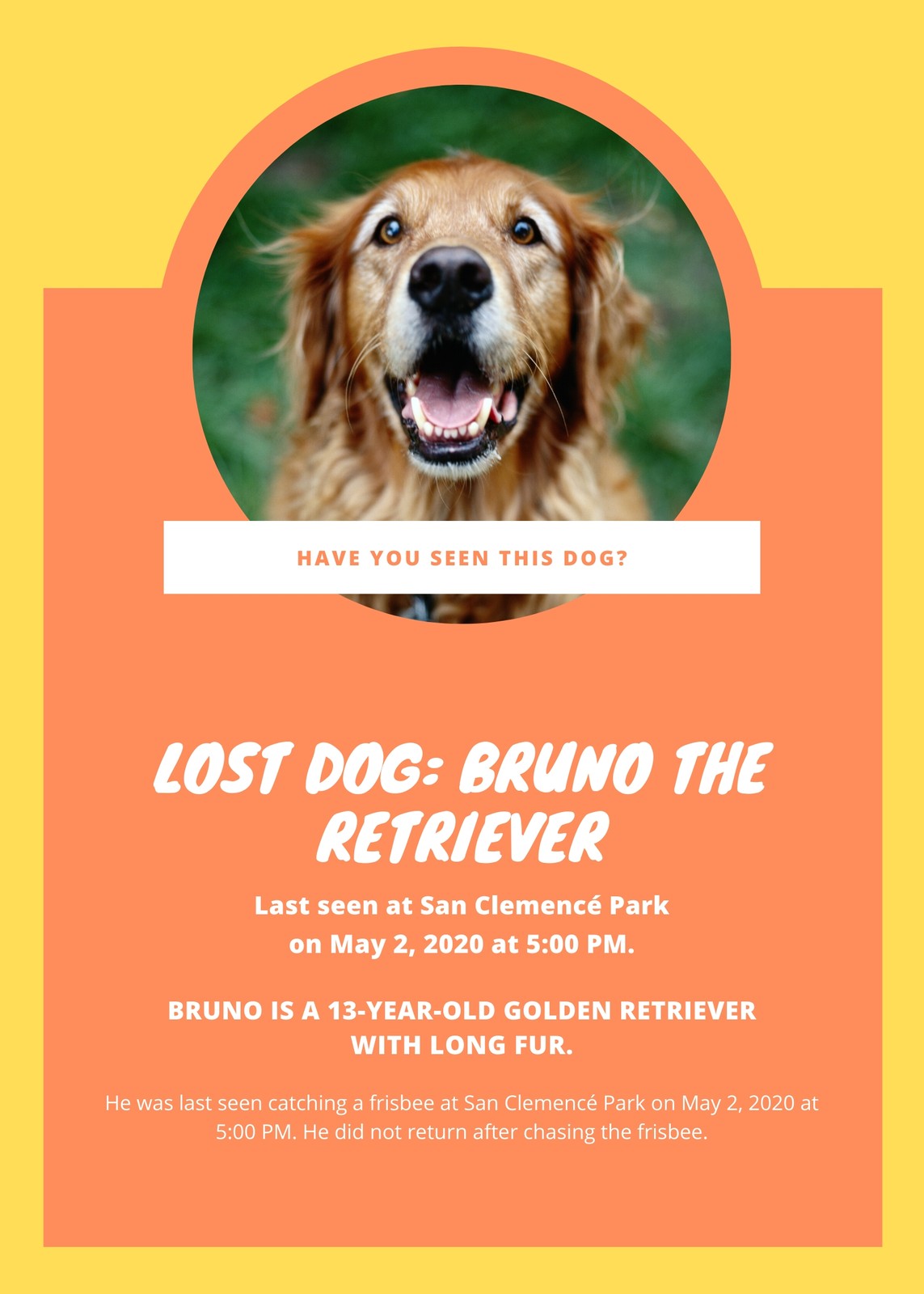 22+ Free, printable, customizable lost dog flyer templates  Canva Inside Missing Dog Flyer Template