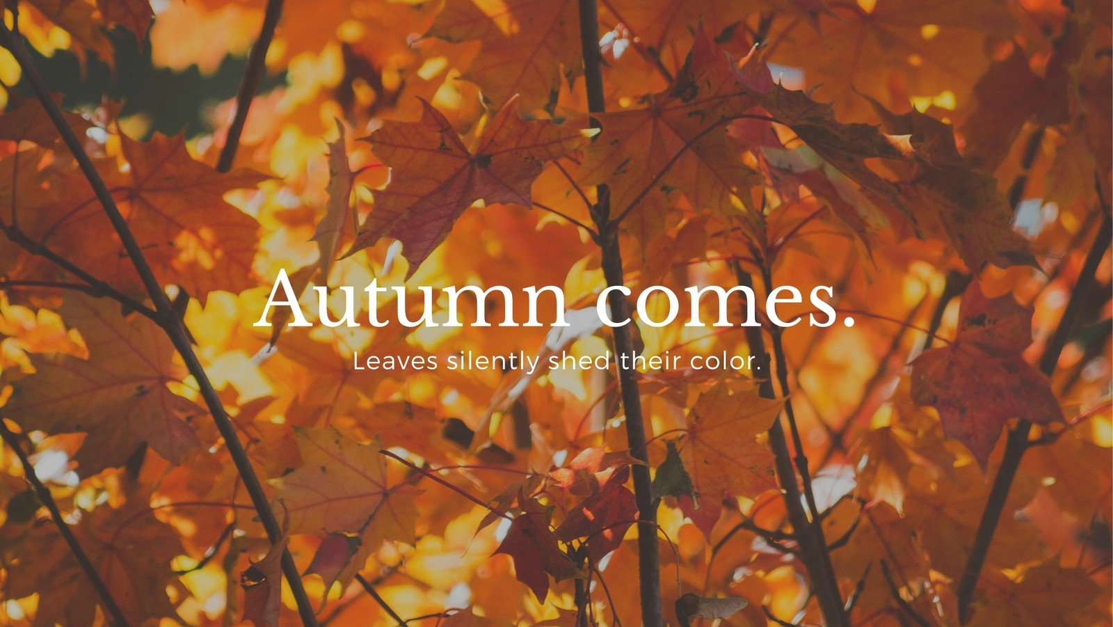 fall images for facebook cover