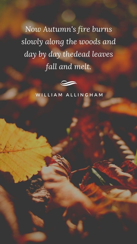 Dead Leaves Quote Autumn Story Templates By Canva