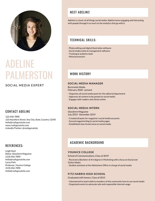 download-27-download-infographic-resume-template-free-download-pictures-gif