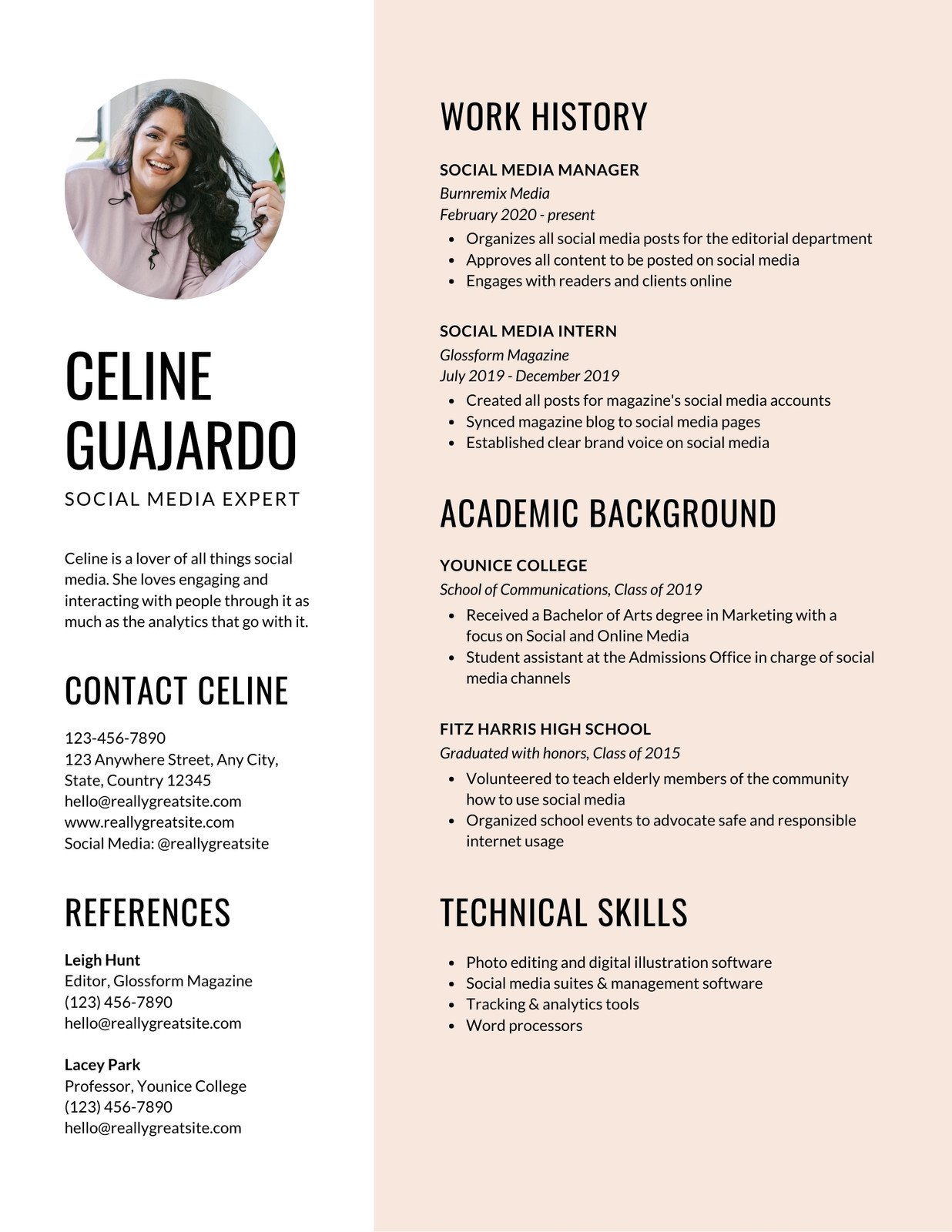 graphic design infographic resume