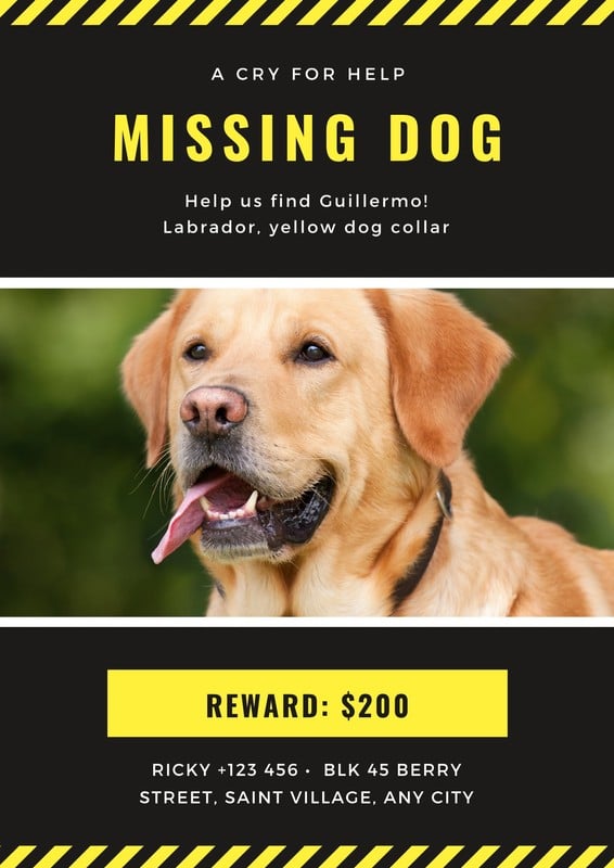 Charcoal and Yellow Missing Pet Poster Templates by Canva