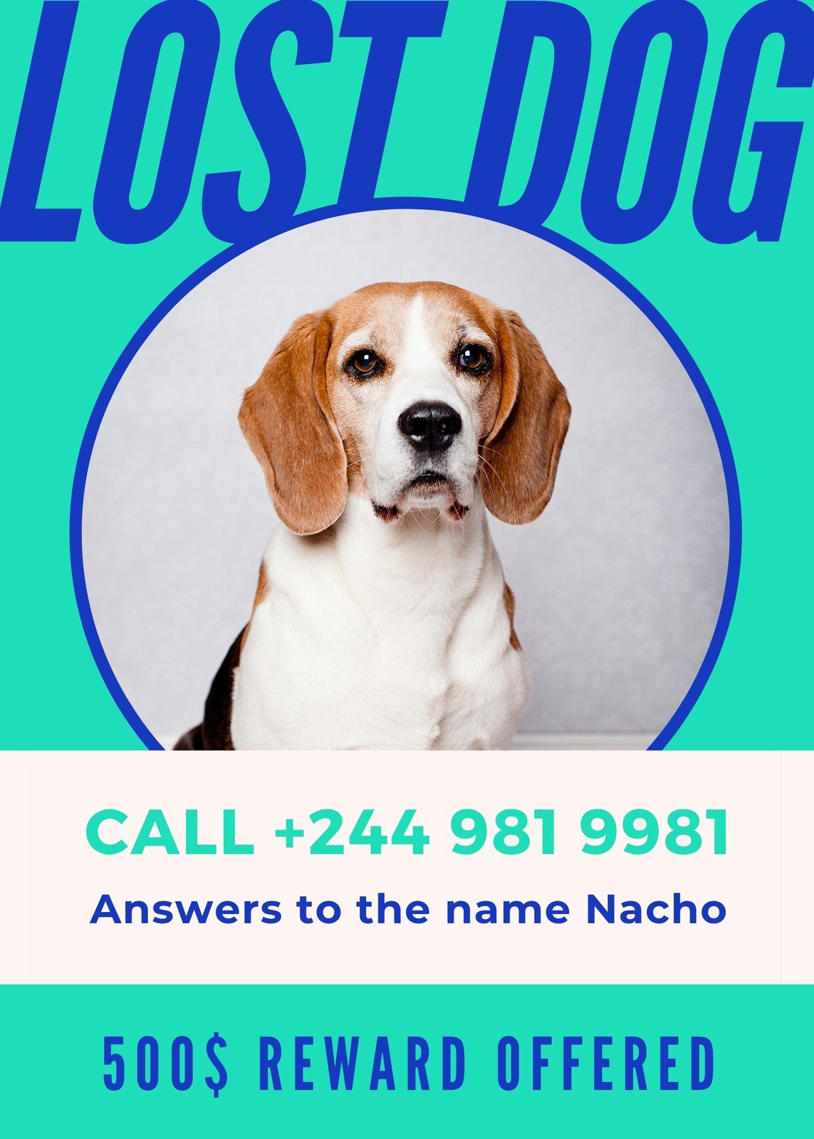 Free Printable Customizable Lost Dog Flyer Templates Canva