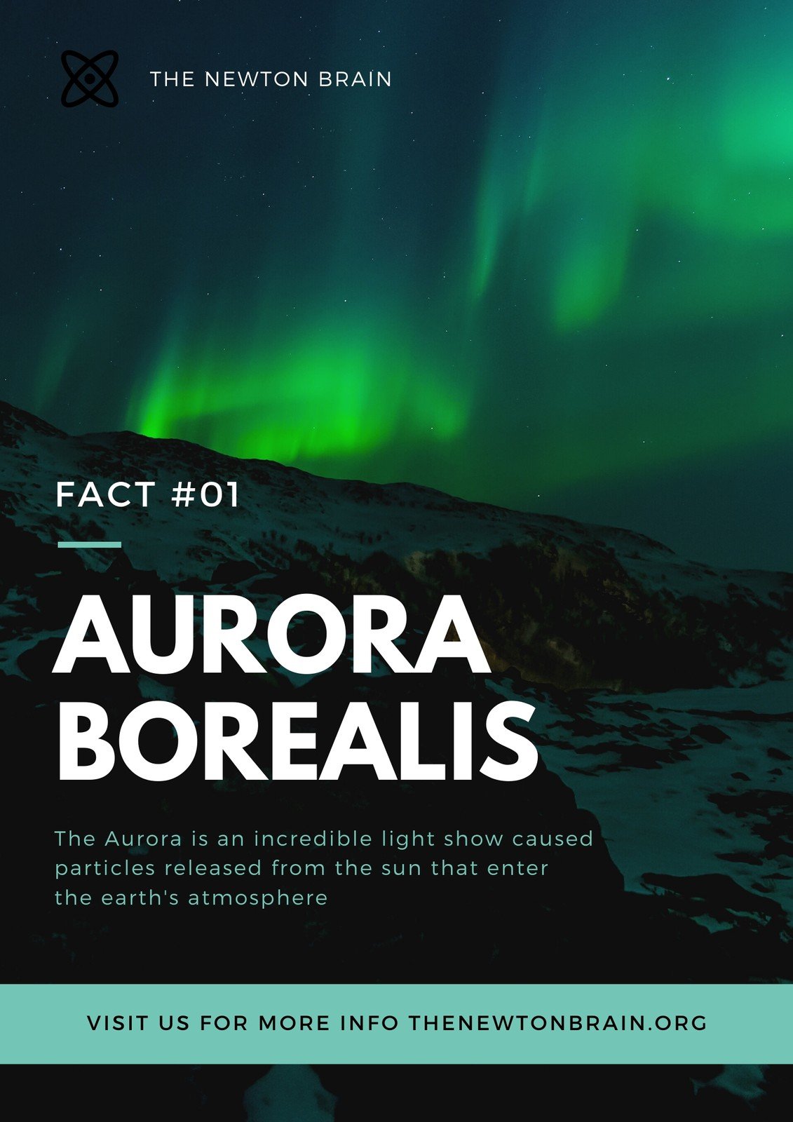 Green Northern Lights Photo Fact Scientific Poster