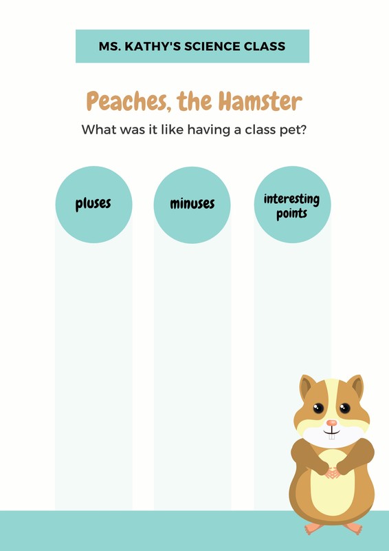 Hamster Years Chart