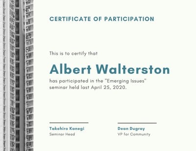 Participation Award Certificate Template from marketplace.canva.com