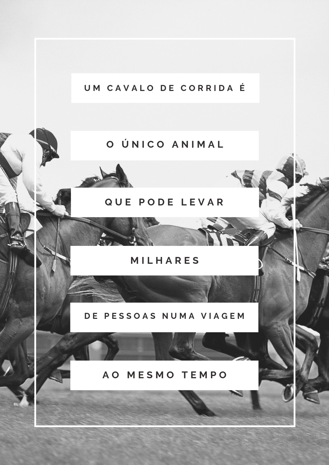 Cavalo claro Png - Baixar Imagens em PNG