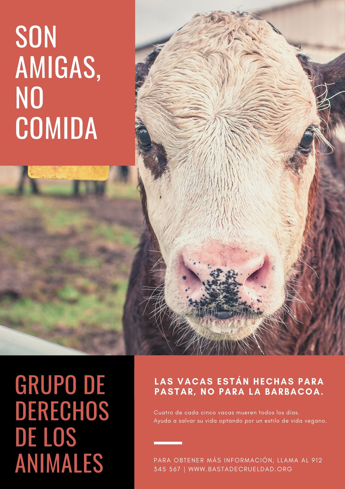 Plantillas De Carteles Veganos Y Vegetarianos Canva 4349