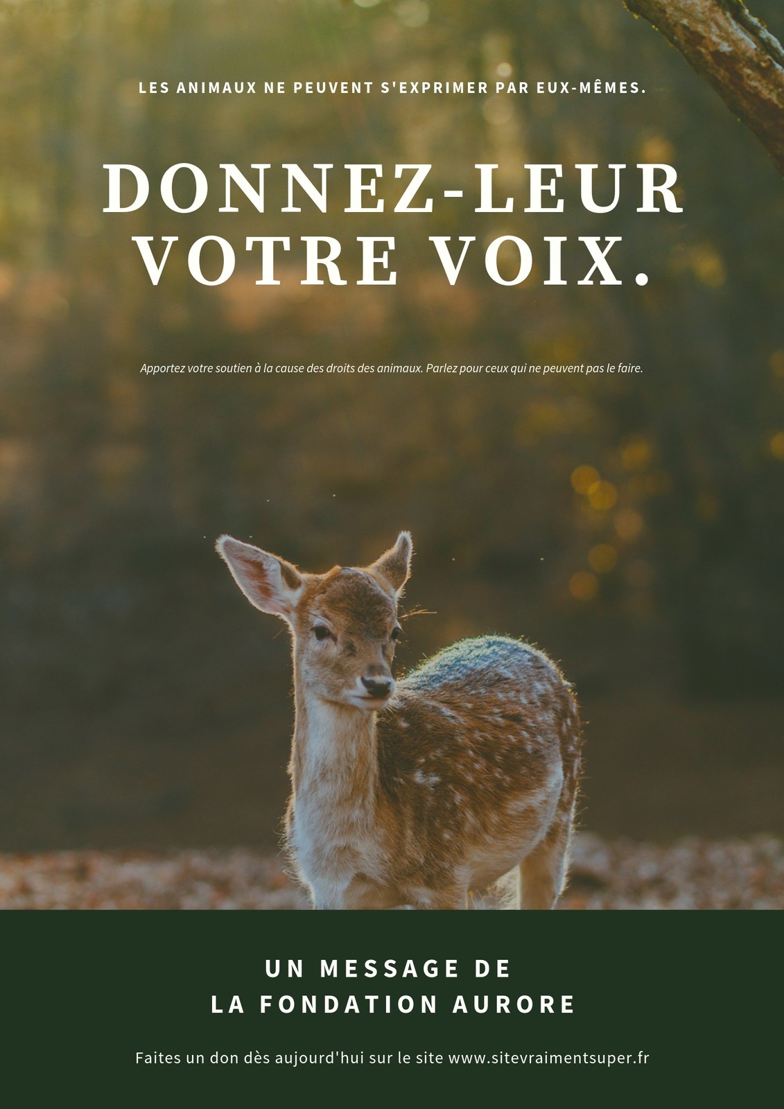 Affiche anniversaire personnalisée - Thème Biche & Forêt - Mmez