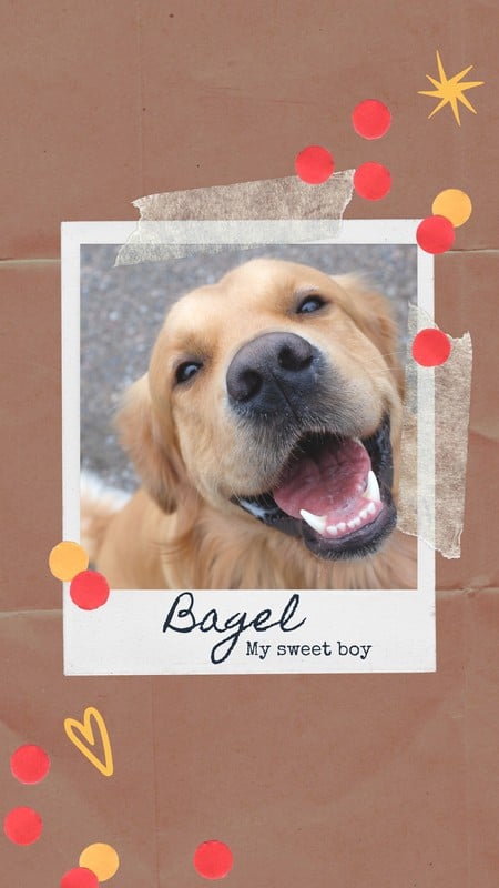 Brown Dog Polaroid Papercraft Love Your Pet Day Your Story