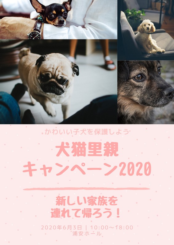 犬 かわいい 子供部屋インテリア イラストポスター インテル株式会社