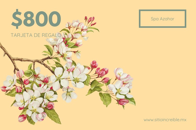 Plantillas Para Certificados De Regalo Para Spa Canva 4807