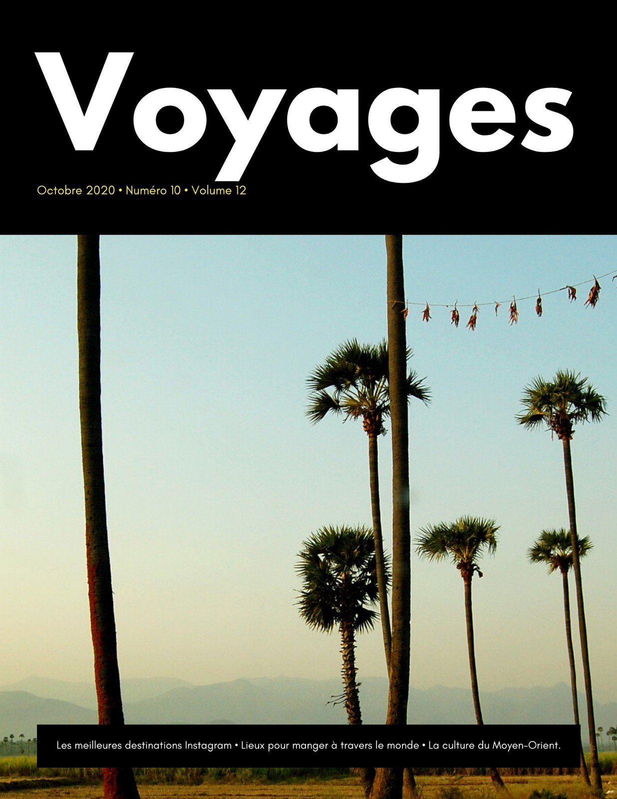 voyage la magazine free