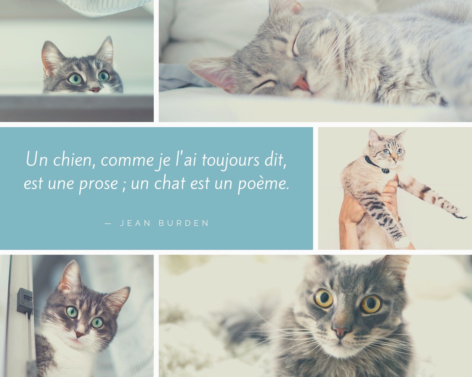 Montages Photos D Animal De Compagnie Modeles Gratuits Canva