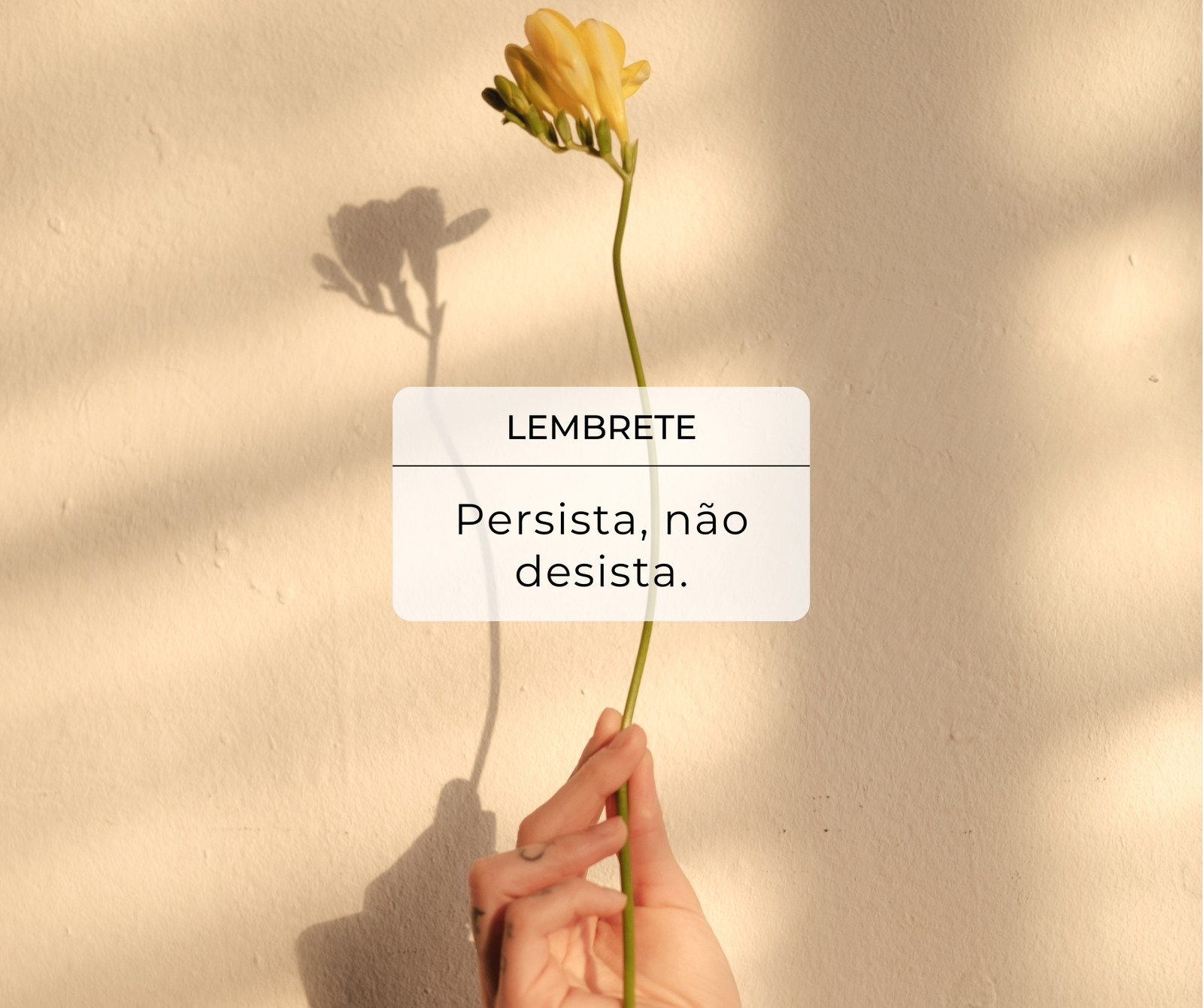 Mensagem para Facebook  Frases e Imagens - Canva