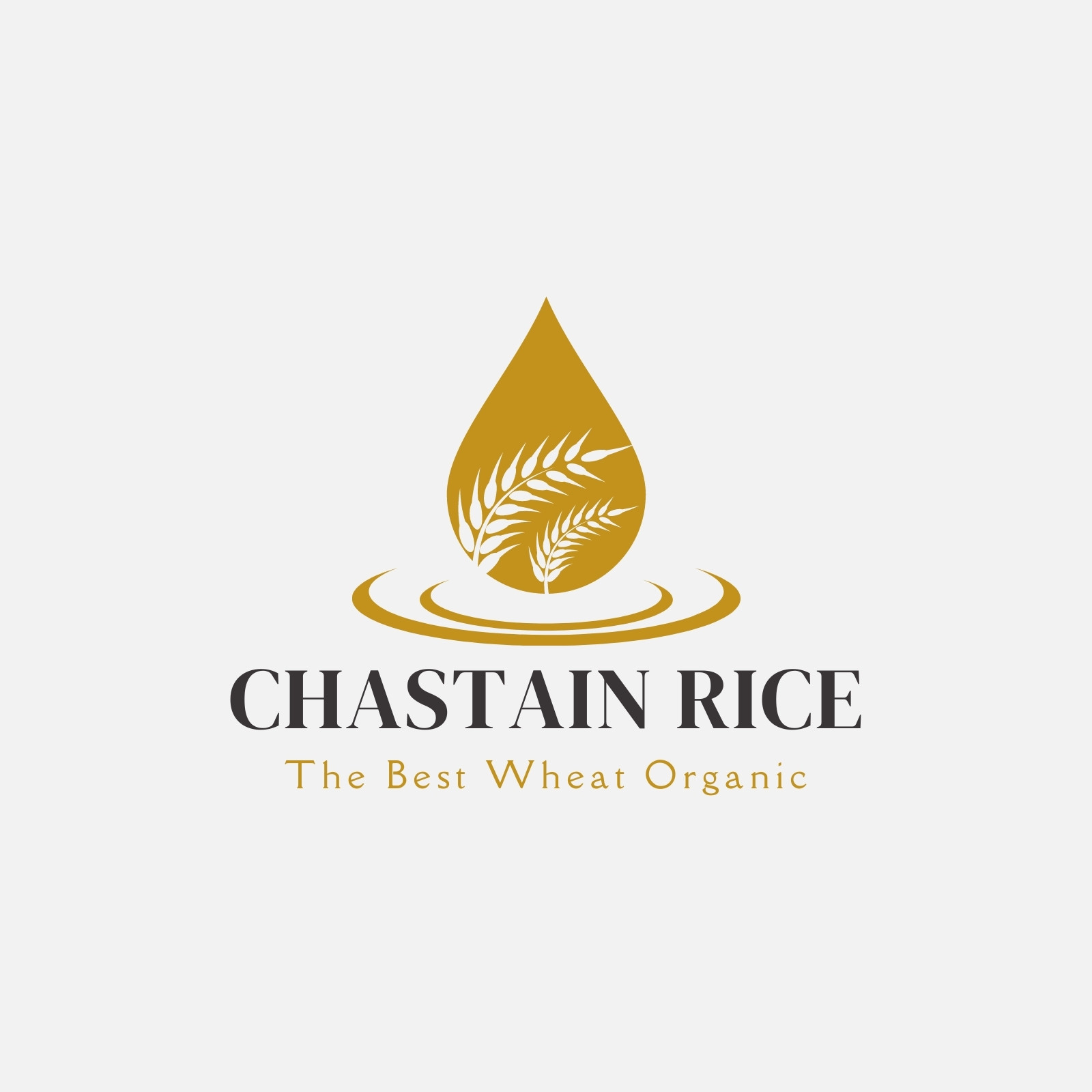 Paddy plant logo,rice grain logo,rice,natural organic farming,for  business,company,agriculture,product,farm shop,agricultural equipment,rice  warehouse,with modern minimalist 20842554 Vector Art at Vecteezy