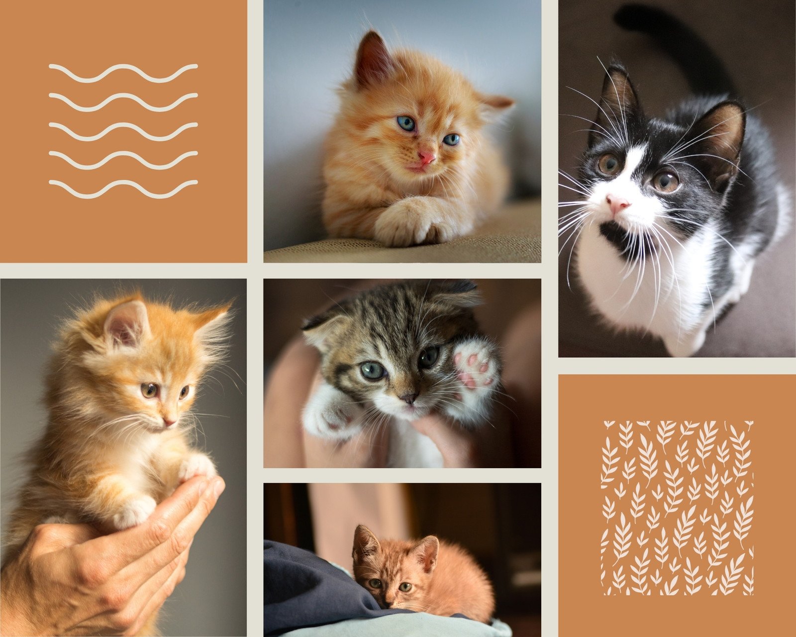 Free printable, customizable pet photo collage templates | Canva
