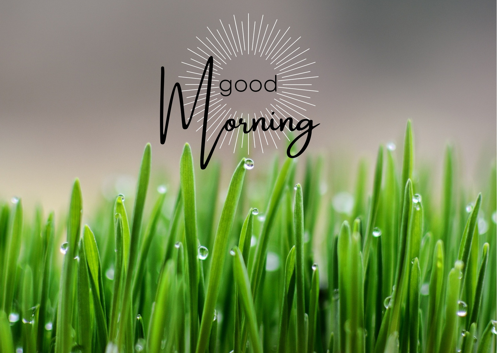 Page 7 - Free and customizable good morning templates