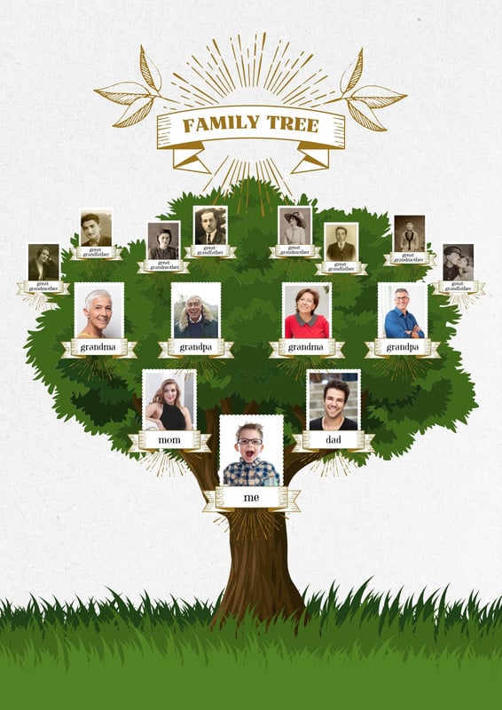More Than A Branch - Genealogy Templates