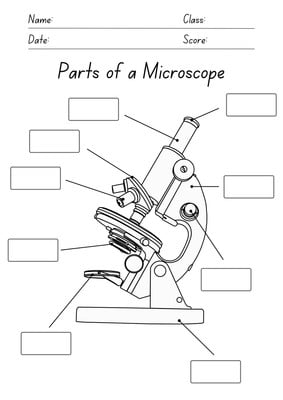 Free custom printable science worksheet templates | Canva