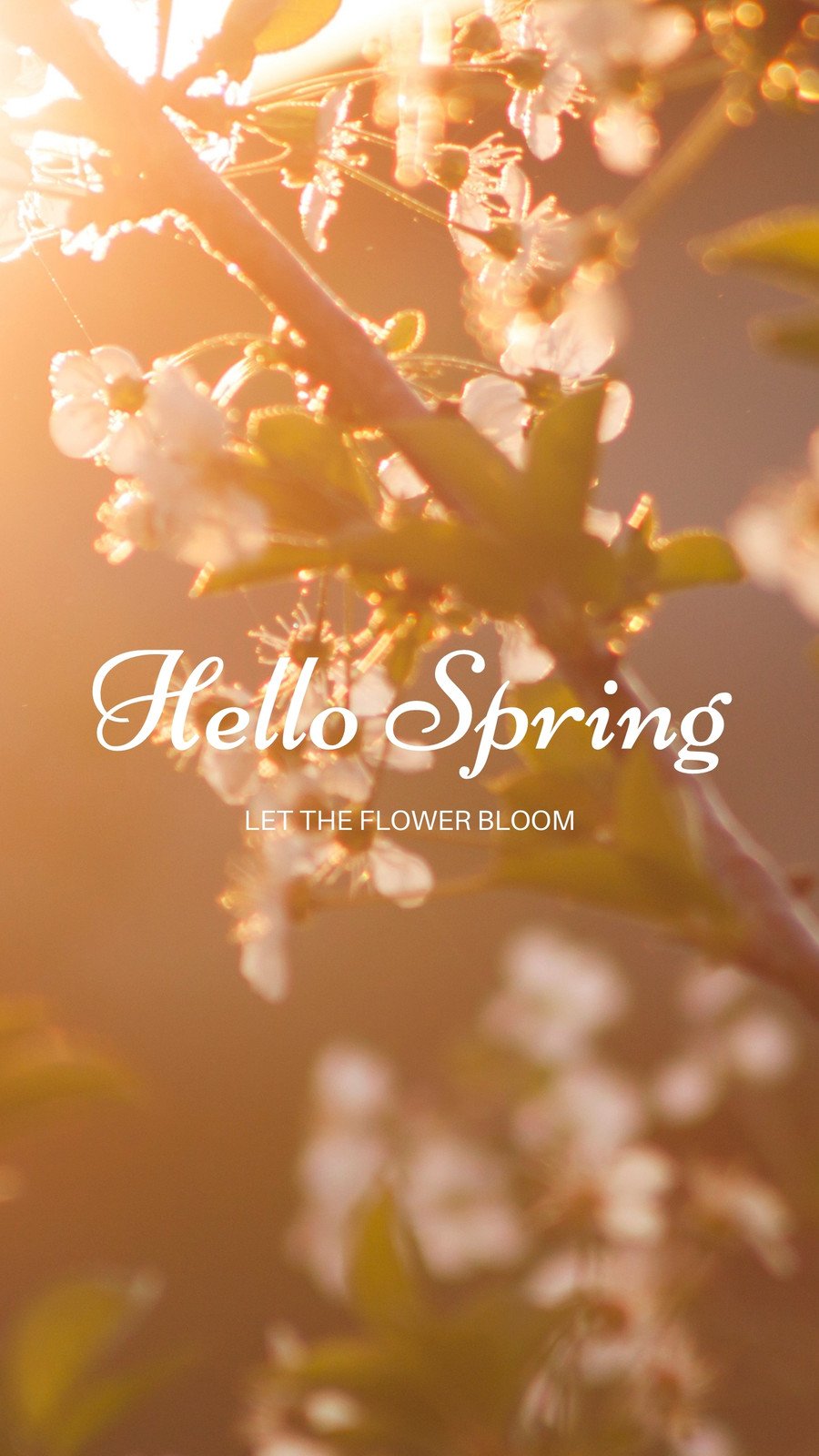 Page 25  spring aesthetics HD wallpapers  Pxfuel
