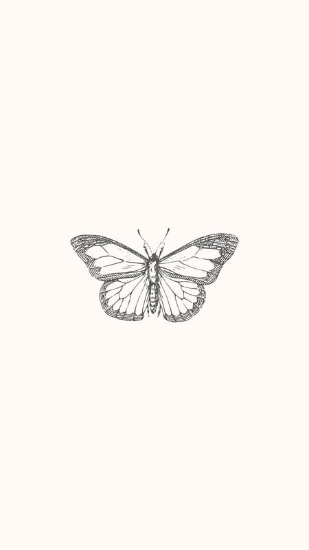 Free and customizable butterfly wallpaper templates