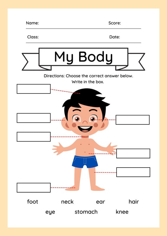 Free custom printable science worksheet templates | Canva