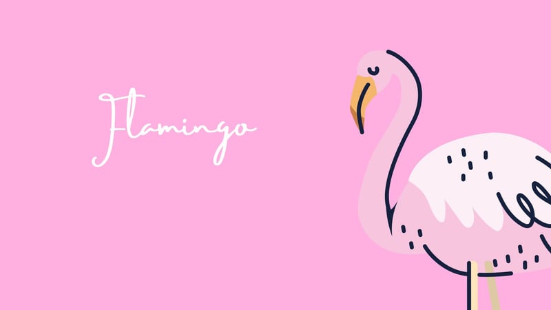 Flamingo Bird Wallpapers  Wallpaper Cave