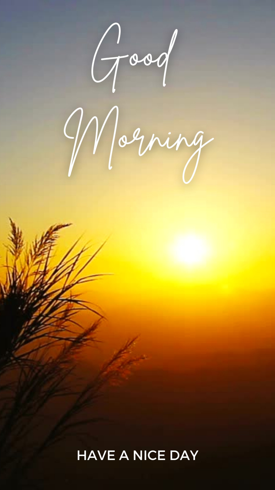 Page 21 - Free and customizable sunrise templates