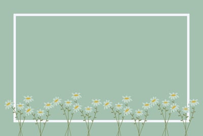 Daisy flower frame on light green background mobile phone wallpaper  illustration, premium image…