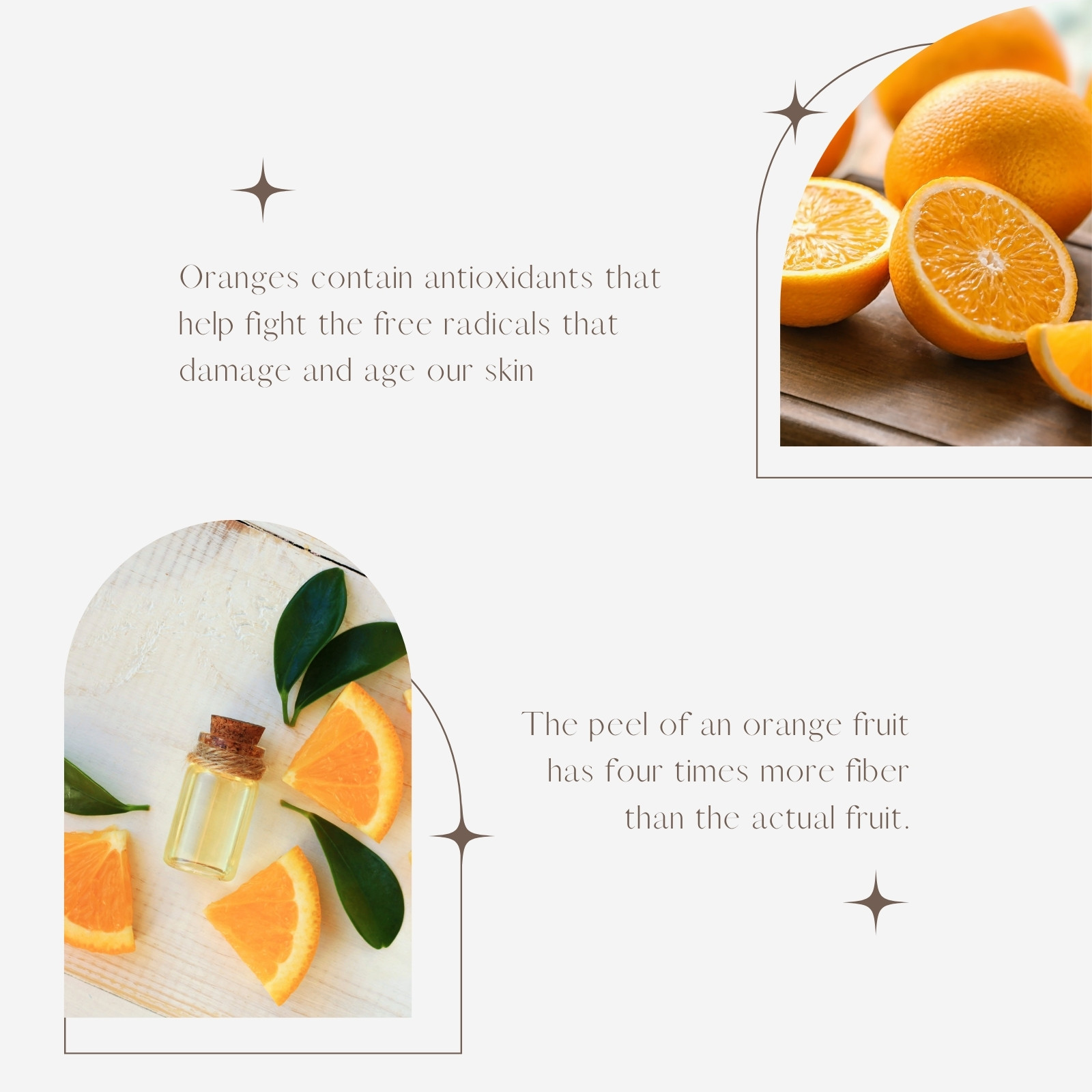 https://marketplace.canva.com/EAE3xP2_7eI/1/0/1600w/canva-orange-facts-healthy-fruit-food-instagram-post-Wqav53GqBSs.jpg