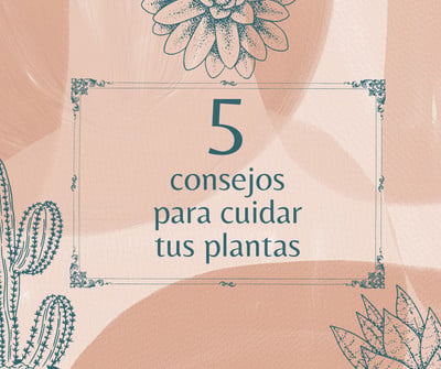 Plantillas Plantas Gratis Y Editables Canva