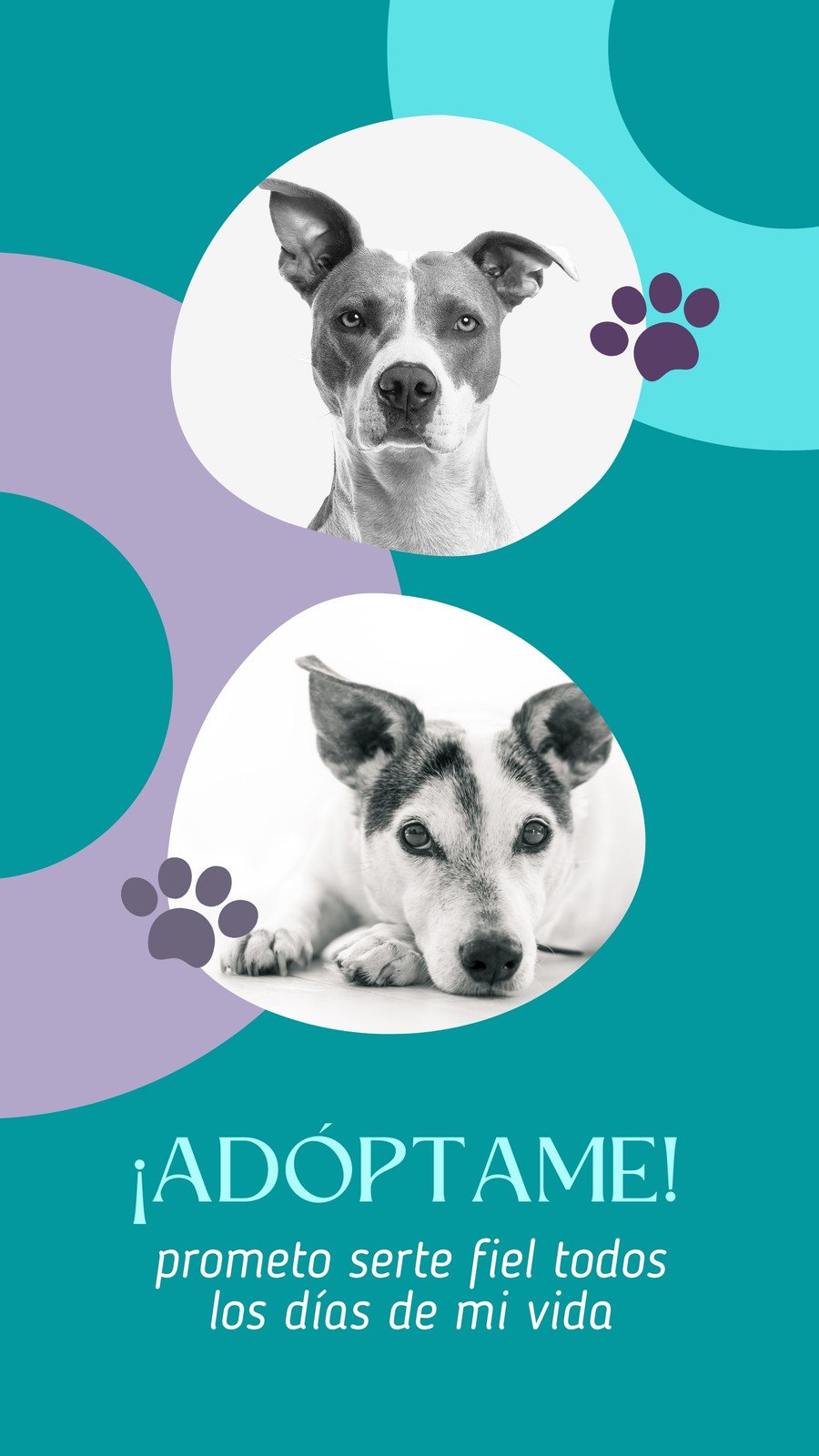 Plantillas de perros gratis y personalizables - Canva