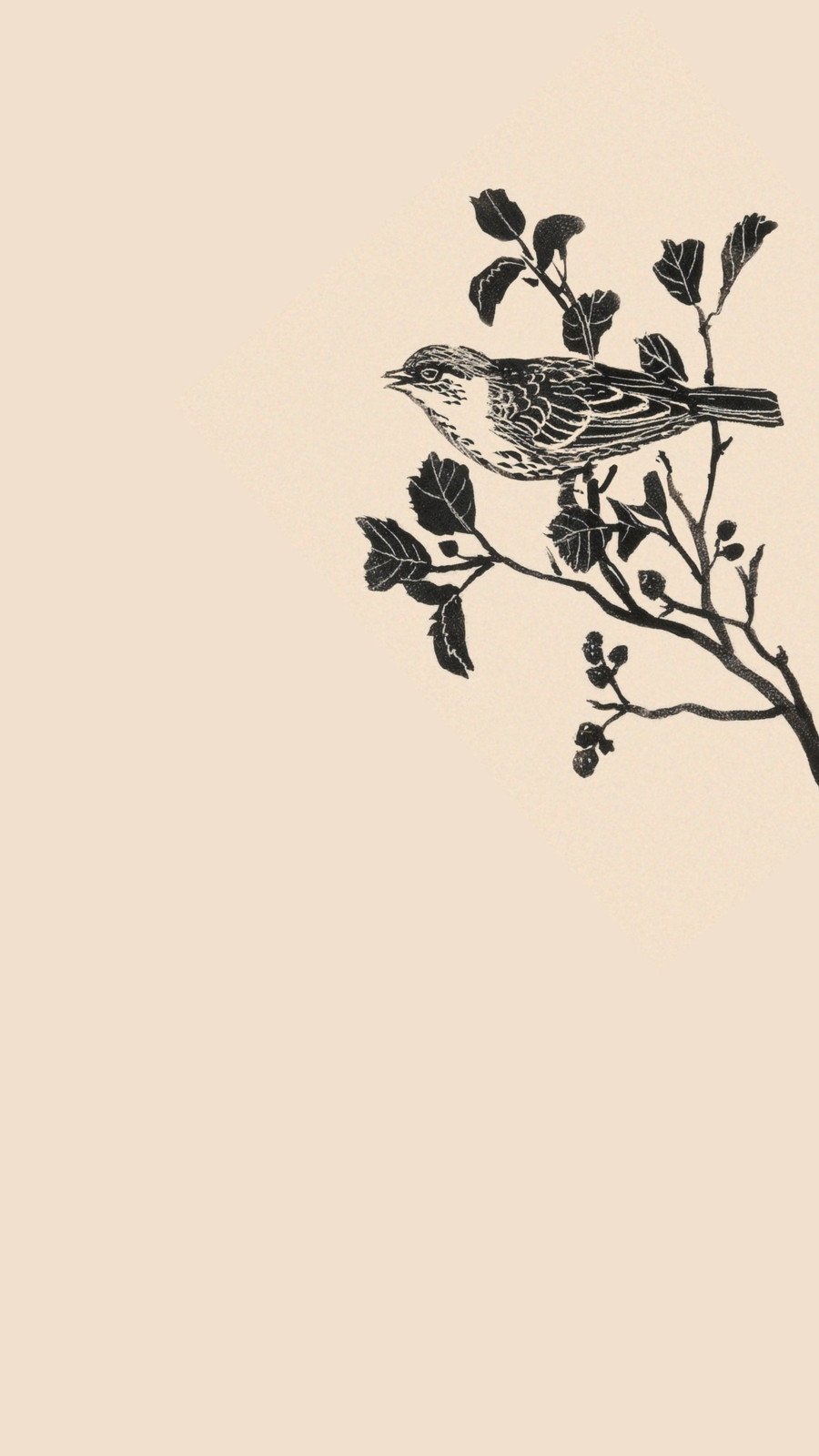 750x1334 Robins Bird iPhone 6 iPhone 6S iPhone 7 HD 4k Wallpapers  Images Backgrounds Photos and Pictures