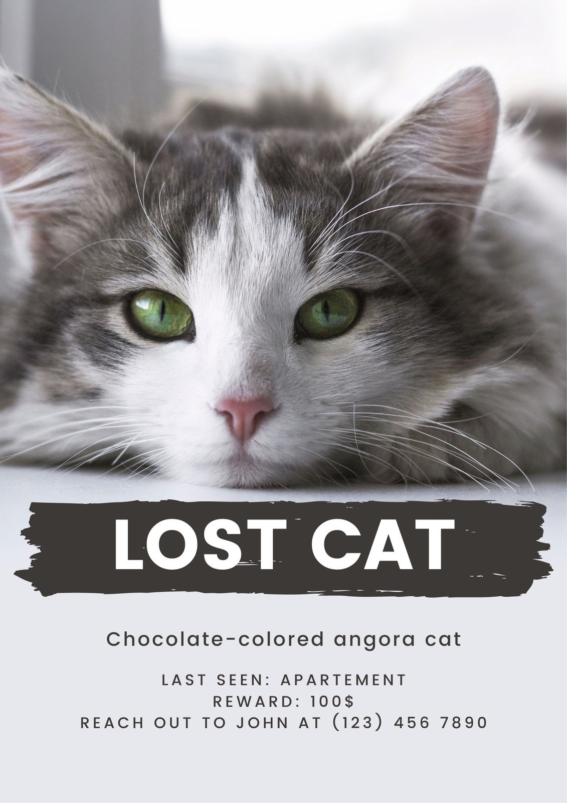 Free My Cat Planner – Kitty Kompass