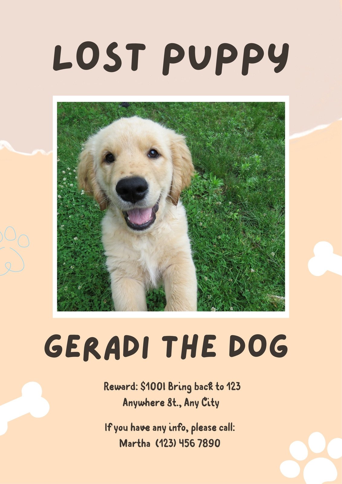 Free printable, customizable lost dog poster templates | Canva