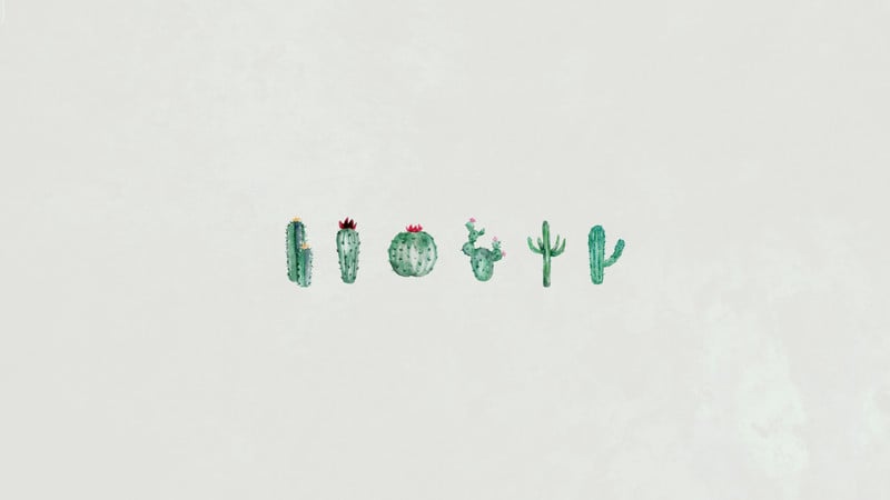 22 Cactus Wallpapers  Wallpaperboat