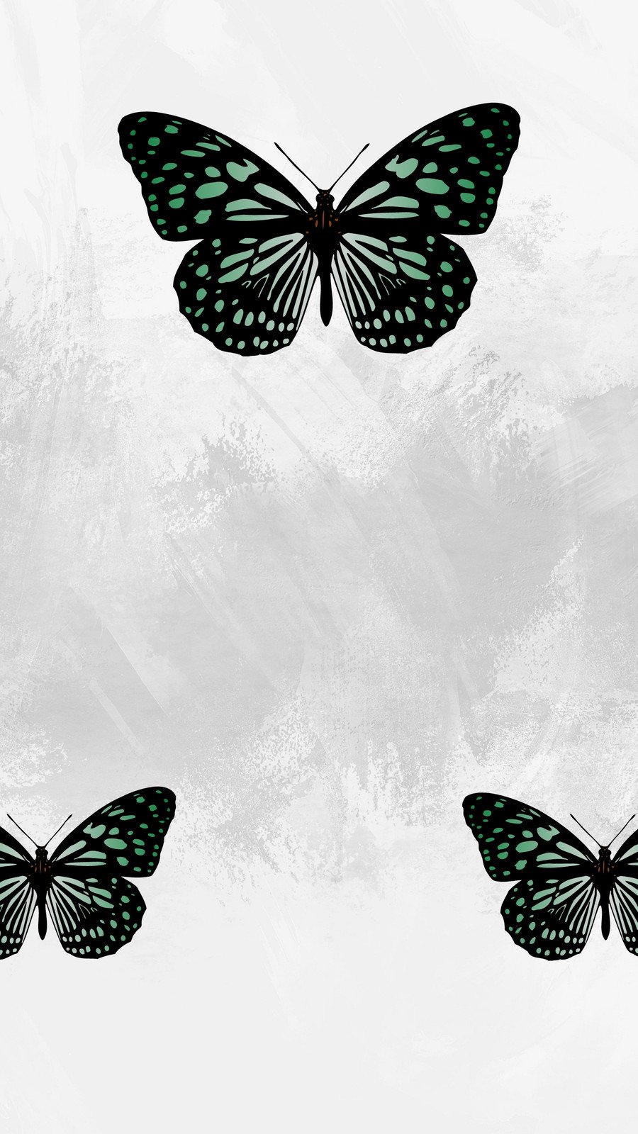 Butterfly Wallpaper  NawPic