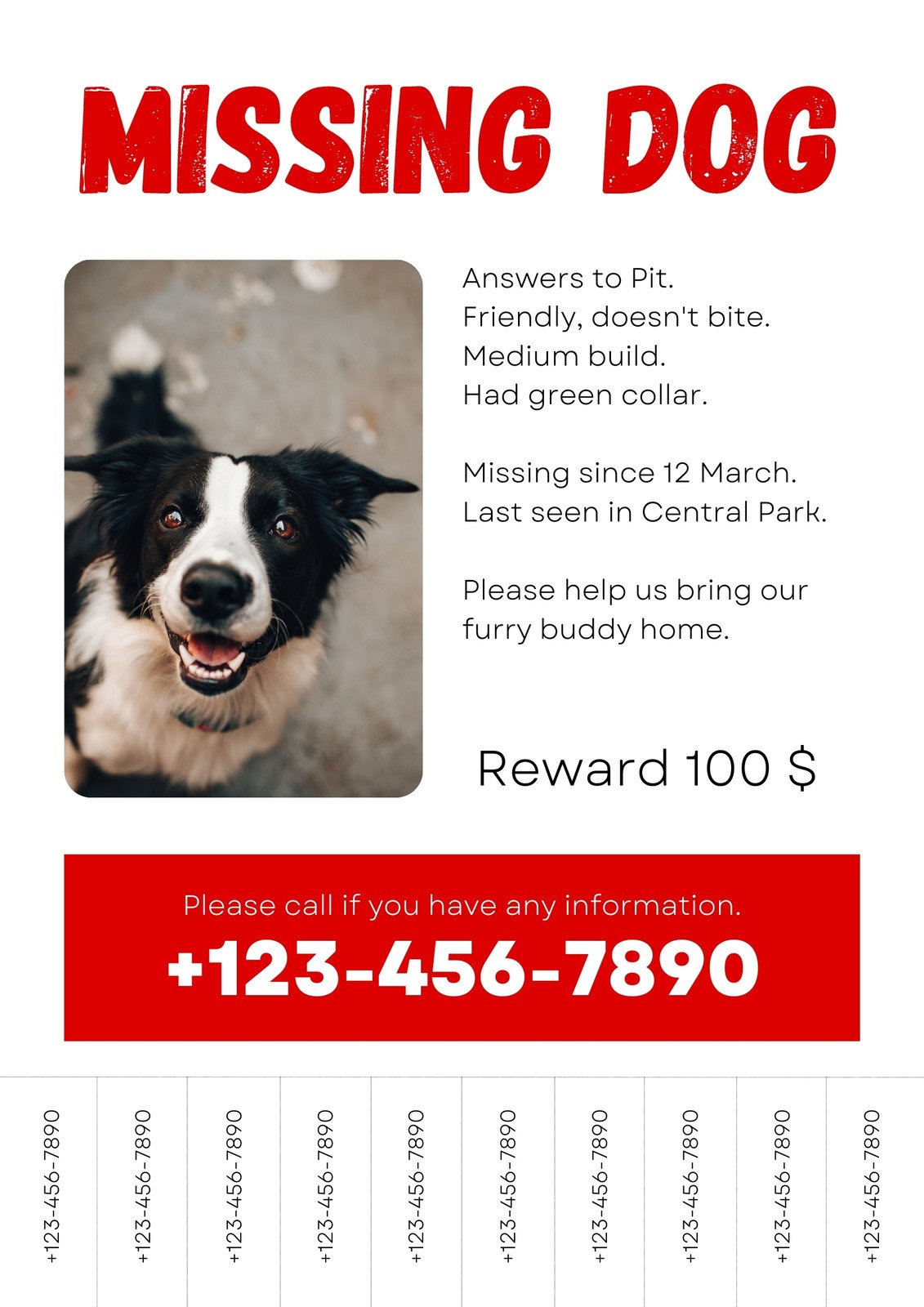 How To Make Missing Dog Posters