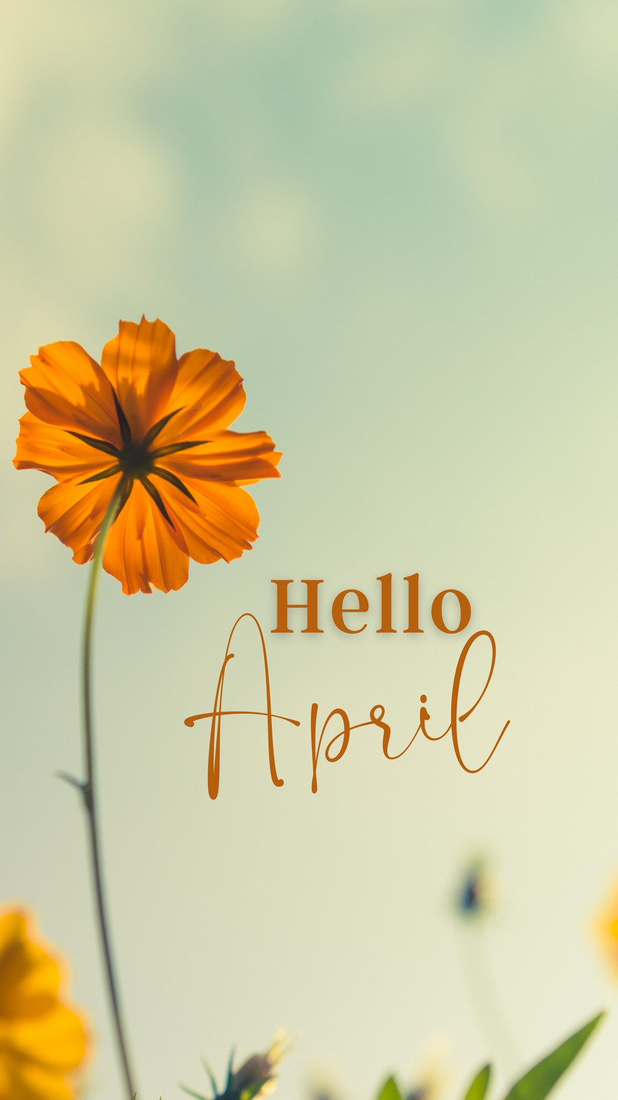 Hello April Images  Free Photos, PNG Stickers, Wallpapers