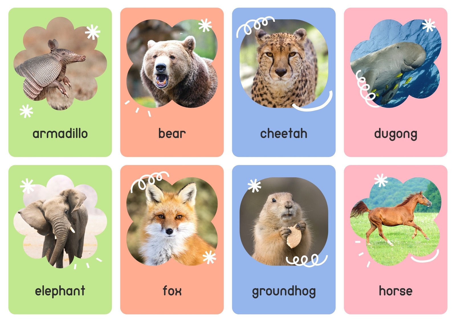 Page 2 - Free animal flashcards to customize and print | Canva
