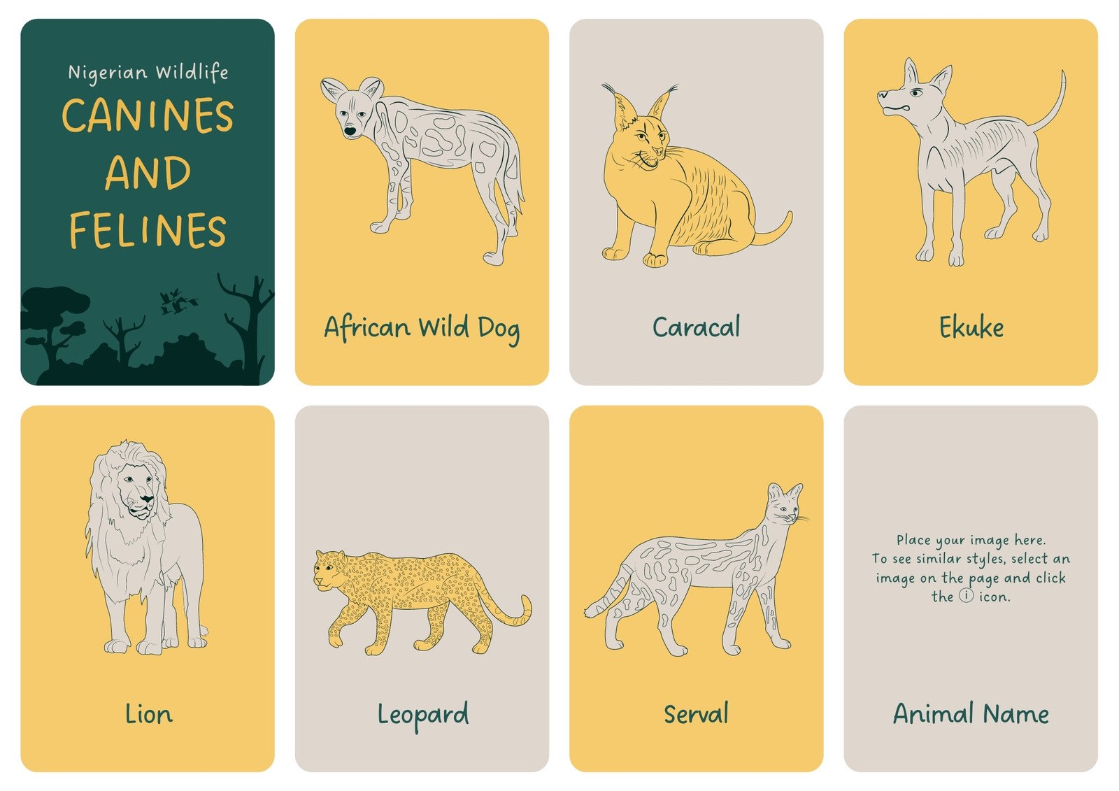 Free animal flashcards to customize and print | Canva
